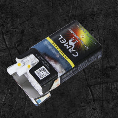 Сигареты Кэмел Компакт 110 Саншайн Краш (Camel Compact 110 Sunshine Crush)